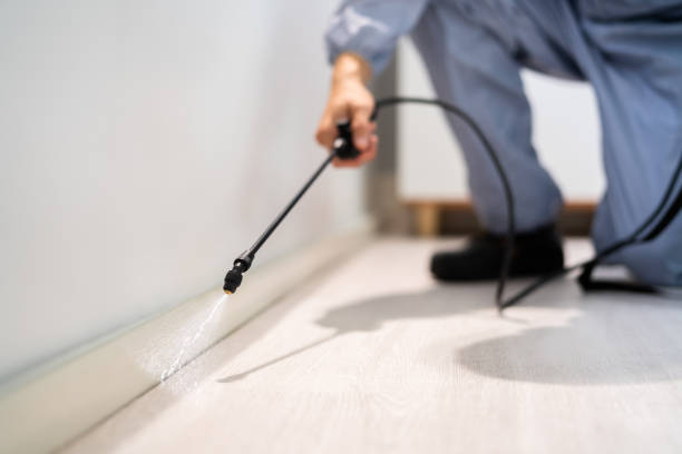 Licensed Pest Control service in Davidson, NC - Show Me Pest Control