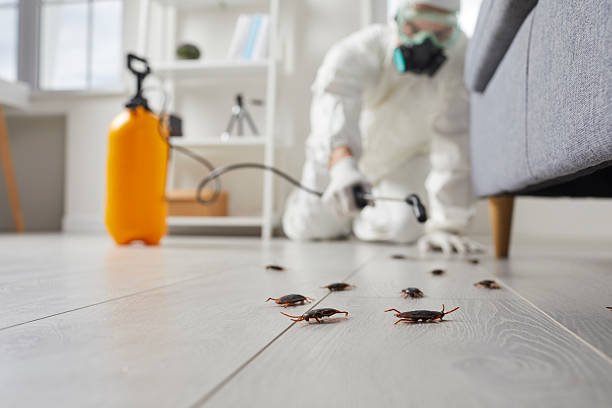 Commercial Kitchen Cockroach Control in Davidson